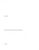 Plan de Mejoras de los Estilos Personales de Aprendizaje