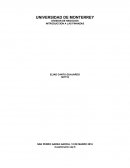 INTRODUCCION A LAS FINANZAS Cuestionario cap 5