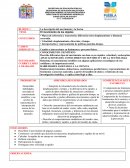 Planeacion de fisica. El movimiento de los objetos