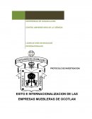 Tema- Protocolo de investigacion.