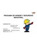 PROGAMA DE HIGIENE Y SEGURIDAD INDUSTRIAL