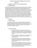 REDES DE ATENCIÓN A NIÑOS CON DISCAPACIDAD.