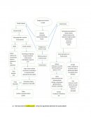 CTIVIDAD INTEGRADORA DE ENFERMERIA HOLISTICA