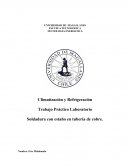 Climatización y Refrigeración - Trabajo Práctico Laboratorio