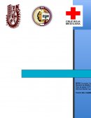 CRUZ ROJA MEXICANA BASE PUERTO AVENTURAS MUNICIPIO SOLIDARIDAD QUINTANAROO.