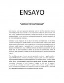 Ensayo “Licencia por maternidad”
