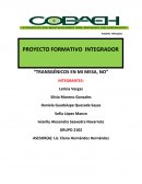 HORTALIZAS ORGANICAS.