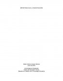 IMPORTANCIA DE LA INVESTIGACIÓN - ENSAYO