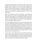 Caracteristicas de la quinta generacion.