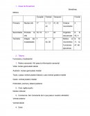 Anatomia Basica del Sistema Nervioso Central