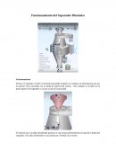 Funcionamiento de separador dinamico de tercera generacion.