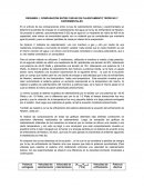 RESUMEN 1: COMPARACIÓN ENTRE CURVAS DE CALENTAMIENTO TEÓRICAS Y EXPERIMENTALES