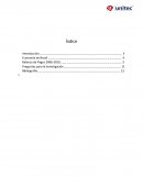 Informe balanza de pagos de brasil