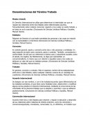 Denominaciones del Término Tratadoю