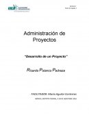 La Administración de proyectos.