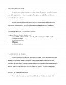 En nuestro centro educativo contamos con un consejo de maestros, los cuales formando parte de la organización, nos reunimos para planificar, jornalizar y planificar las diferentes actividades del centro educativo.