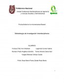 Productividad en la microempresa Baaxal Metodología de Investigación Interdisciplinaria