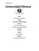 Lamina delgada Mudstone