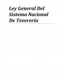 Sistema nacional de tesoreria.