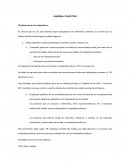 Laboral colectivo. Clasificación de los trabajadores