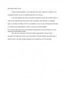 RESUMEN EJECUTIVO El área de medios digitales es una subgerencia nueva de la Agencia Los Quiltros, es la encargada de ofrecer un servicio de publicidad online a los clientes.