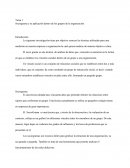 Sociograma y su aplicación dentro de los grupos de la organización.