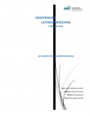 La guerra de hamburguesas