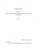 Evaluación de algunos procesos microbianos del ciclo del carbono