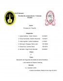 Resolución de Preguntas del análisis de textos filosóficos y del material de Stephen Hawking.