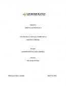 TECNOLOGÍA Y VENTAJA COMPETITIVA DE MICHAEL PORTER