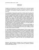 Alcantara Flores Lucia S. 3NVB “Espejos”