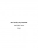 Propiedad intelectual y la ley de protección al consumidor