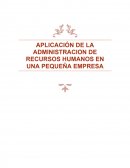Aplicacion de recursos humanos en una pequeña y mediana empresa.