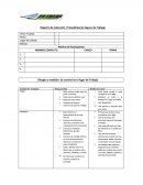 Registro de Inducción Procedimiento Seguro de Trabajo