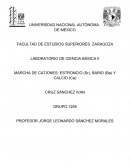 LABORATORIO DE CIENCIA BÁSICA II