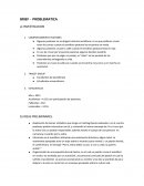 BRIEF - PROBLEMATICA.