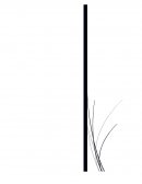 Analisis a los derechos del Autor.