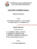 INGENIERÍA ESTRTÉGICA Y FINANCIERA ANÁLISIS VERTICAL Y HORIZONTAL