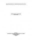 ANALISIS FINANCIERO DE LA COMPAÑÍA INDUSTRIAS METALICAS S.A