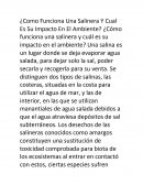 Como funciona una salinera y cual es su impacto en el ambiente?