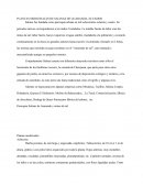 PLANTAS MEDICINALES DE SALINAS DE GUARANDA, ECUADOR