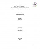 Proyecto de empresa.Auditórium tecnologies