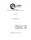 Tema “Analisis Cristina Fernandez”