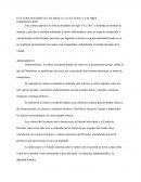 CULTURA OCCIDENTAL EN BASE A LA CULTURA Y VALORES