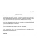 CICLO DE IMPUESTOS Funciones típicas