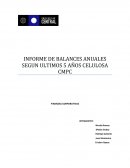 INFORME DE BALANCES ANUALES SEGUN ULTIMOS 5 AÑOS CELULOSA CMPC