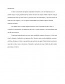 Aparato reproductor.