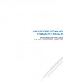 TAREA SISTEMAS DE INFORMACION CONTABLE