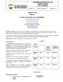 Química III 2016-2 Prueba sistemática de solubilidad