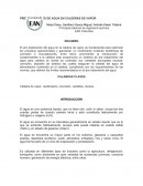 PRETRATAMIENTO DE AGUA EN CALDERAS DE VAPOR.